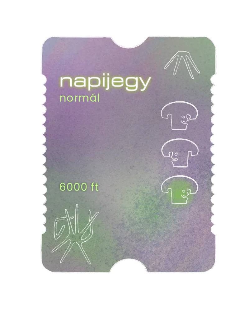 Normál Napijegy